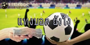 แทงบอลสเต็ป